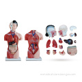 /msite/products/detail/productid/63023484/id/1517769.html